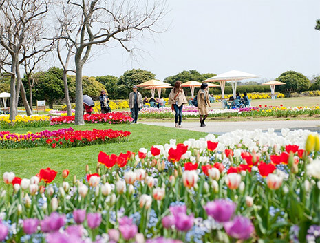 海の中道海浜公園