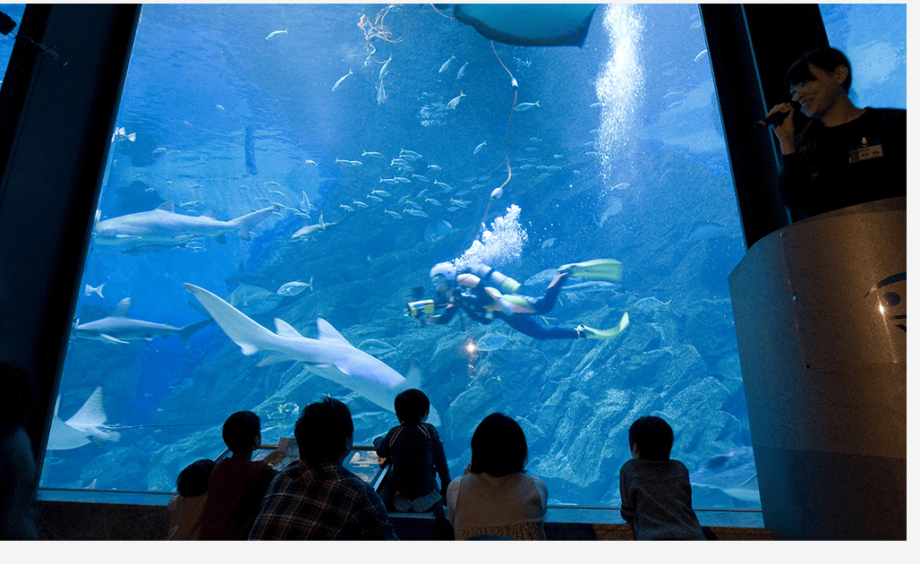 マリンワールド海の中道