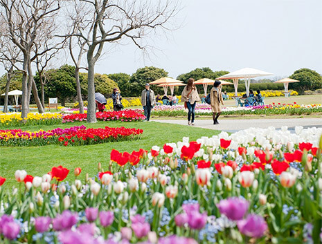 海の中道海浜公園